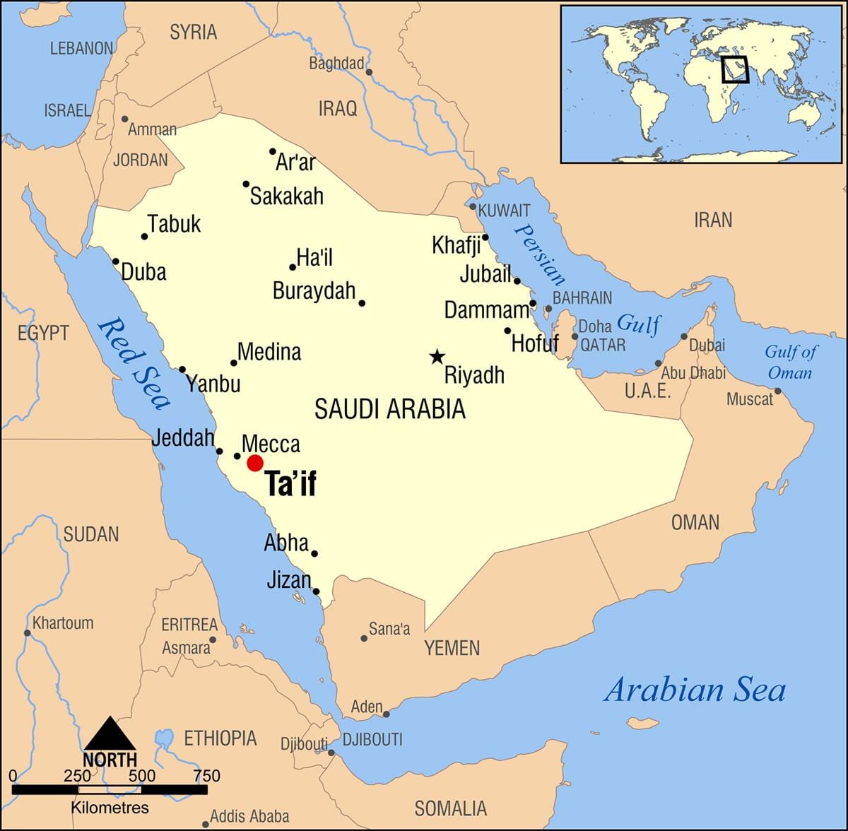 TAIF KSA karti